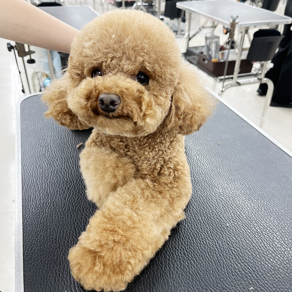 ２年生が担当しているかわいいお客様♪